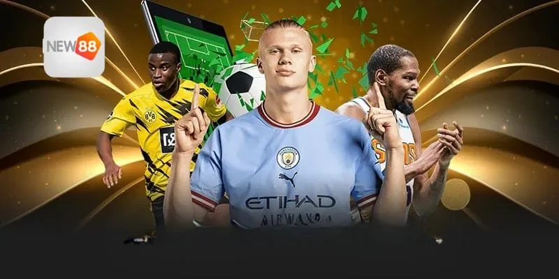 Cá cược thể thao có nhiều hình thức phong phú