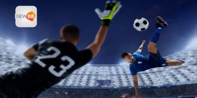 Dữ liệu được đối chiếu theo từng thông số