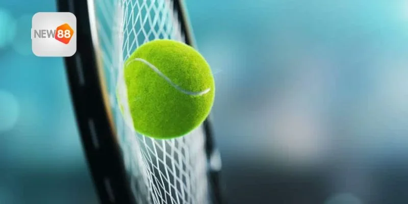 Dữ liệu then chốt từ việc cá cược tennis