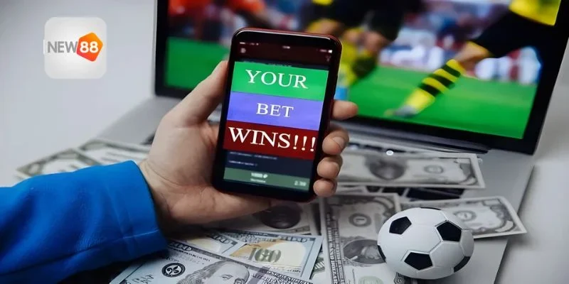 Dữ liệu trước trận là yếu tố nền tảng để lựa chọn kèo hợp lý